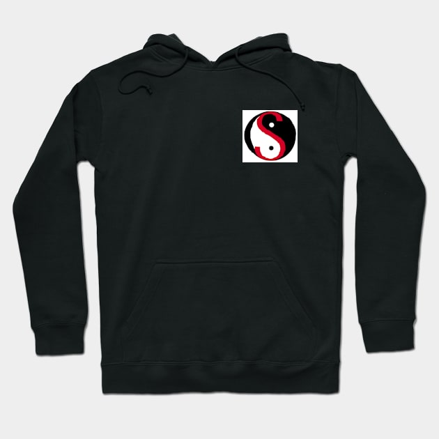 TaoSecurity S Logo Hoodie by taosecurity